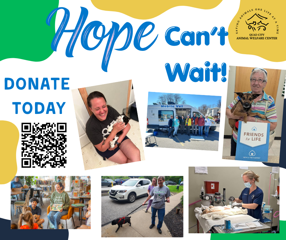 Donation graphic 1